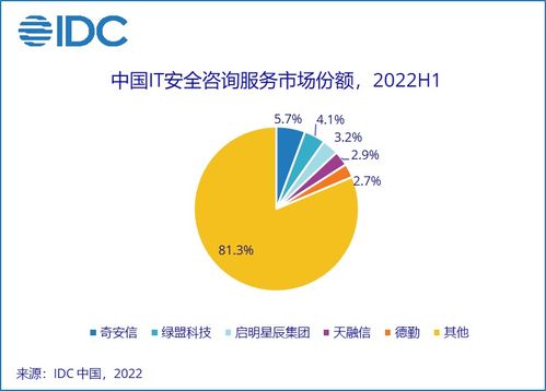 IDC報(bào)告解讀 2022上半年中國(guó)網(wǎng)絡(luò)安全服務(wù)市場(chǎng)穩(wěn)健增長(zhǎng)，網(wǎng)絡(luò)服務(wù)能力成為核心驅(qū)動(dòng)力